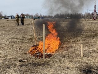 Ученые ТГУ запатентовали систему раннего обнаружения природных пожаров