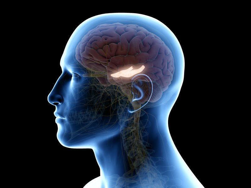 Исследователи связывают сигналы памяти мозга с уровнем сахара в крови