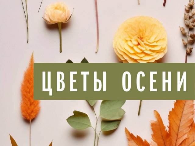 Выставка «Цветы осени»