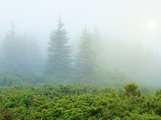 Водяной пар атмосферы в дефиците. Фото: kotenko/ru.123rf.com