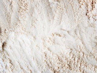 Изображение: rawpixel/Фотобанк RU.123.RF