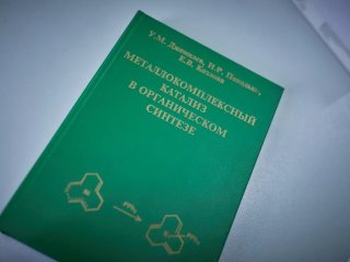 Фото Елены Либрик