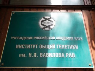Фото Ольги Мерзляковой