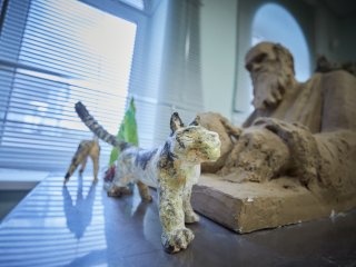 Фото: Елена Либрик / Научная Россия