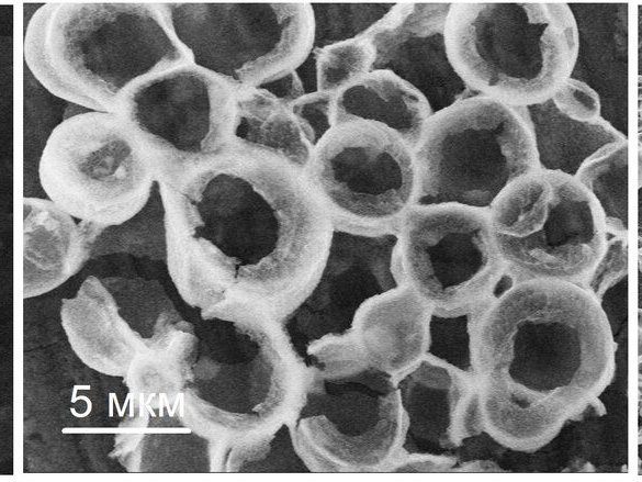 Изображение предоставлено Валерием Толстым