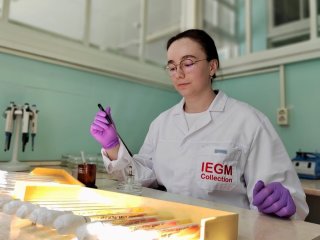 Аспирант Анастасия Голышева за работой в бактериологическом боксе с культурами-биоинактиваторами и биоаккумуляторами тяжелых металлов. Фото: М.С. Филиппова / предоставлено пресс-службой ПФИЦ УрО РАН