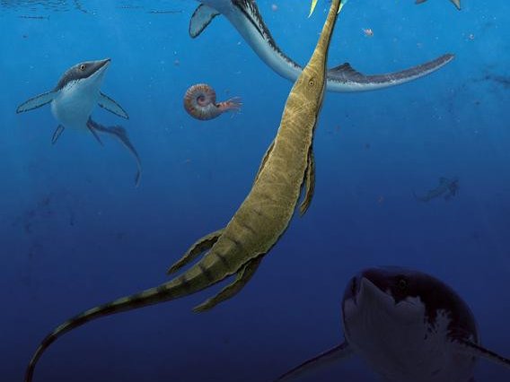 Стая мелких ихтиостегических «рыбоящеров» Grippia longirostris охотится на аммоноидей, похожих на кальмаров (вверху слева). Морская амфибия Aphaneramma ловит костную рыбу Bobastrania на переднем плане. Фото: Robert Back / Swedish Museum of Natural History