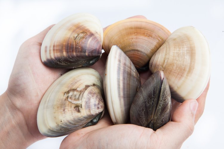 Источник ru.123rf.com