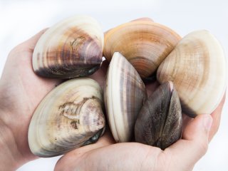 Источник ru.123rf.com