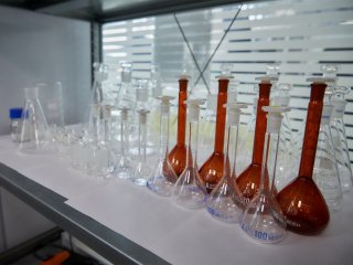 Фото: Елена Либрик / Научная Россия