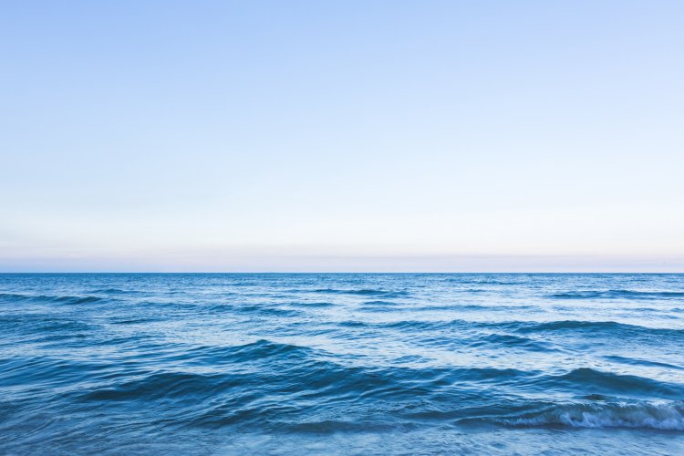 Фото: Фотобанк Freepik