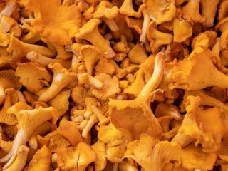 Изображение: Фотобанк Freepik