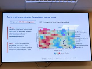 Всероссийская конференция «Безопасность человека как глобальный вызов современности: перспективы применения медицинских газов и газовых смесей». Фото: Елена Либрик / «Научная Россия»