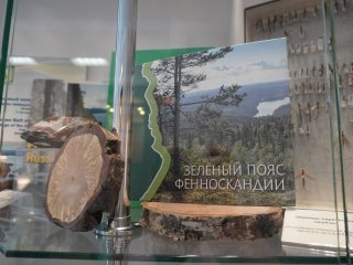 Третья международная научно-практическая конференция «Региональное сотрудничество БРИКС: актуальные проблемы экологии и природопользования». Фото: Анастасия Жукова / «Научная Россия»