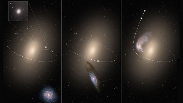 Откуда берутся одинокие компактные эллиптические галактики