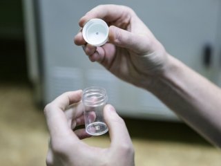 Тест-систему на определение уровня свинца в организме создали петербургские студенты