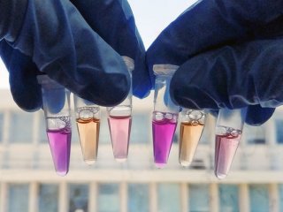 Ученые открыли новый светочувствительный белок впервые за почти 50 лет