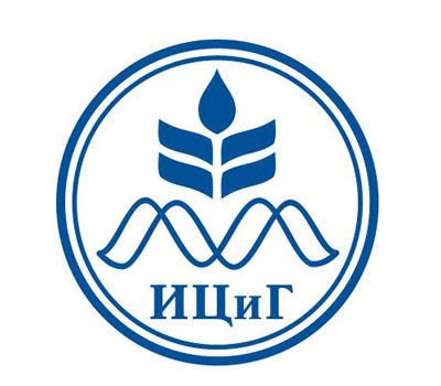 Изображение логотипа с сайта ФИЦ ИЦиГ СО РАН