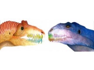 У некоторых хищных динозавров новые зубы вырастали каждые два месяца