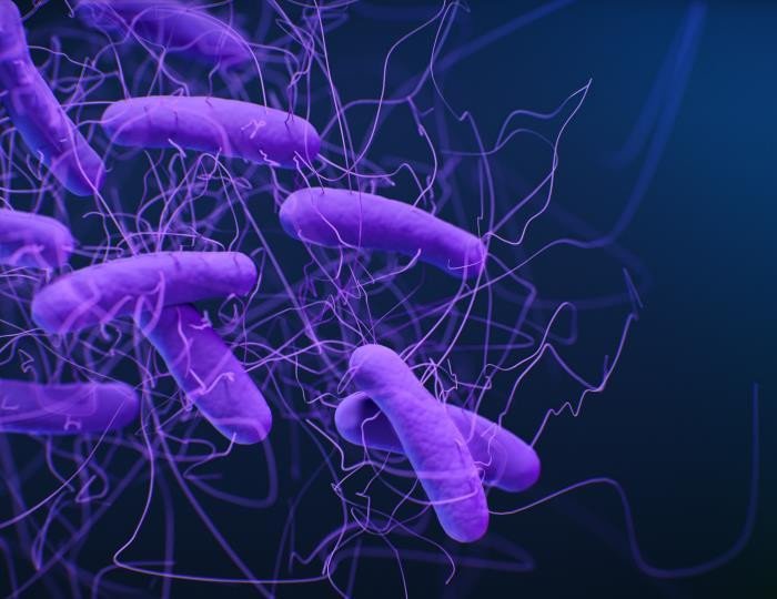 Машинное обучение помогает найти бактерии, устойчивые к лекарствам