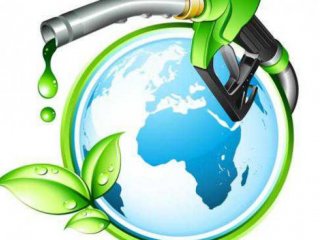 «Зеленое» биотопливо