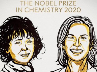 Учёные МГУ комментируют награждение Нобелевской премией 2020 по химии