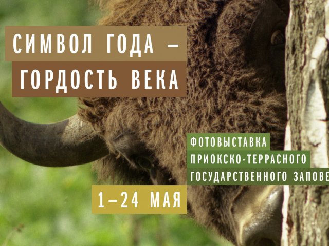 «Символ года — гордость века»