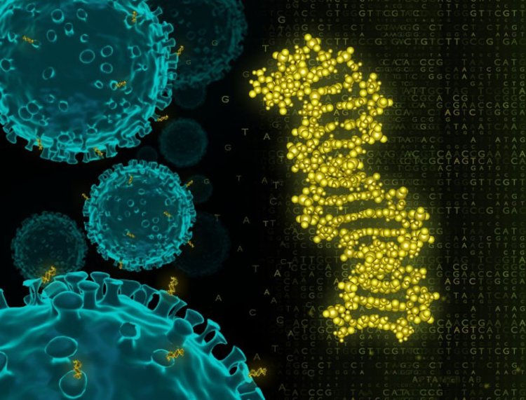 Схематическое изображение разработанного аптамера и вирусов COVID-19. Иллюстрация к статье стала обложкой выпуска журнала Chemistry-A European Journal