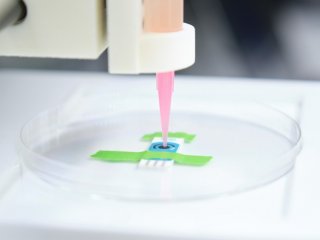 Исследователи научились печатать объекты размером с десятки микрометров