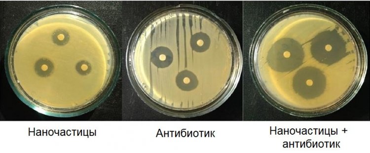 Исследование антибактериальной активности на образцах