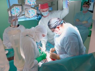 Фото - НМИЦ детской травматологии и ортопедии