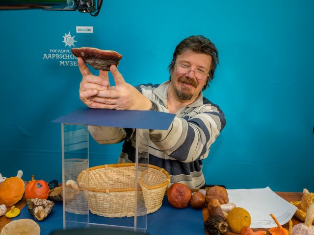 ZOOMка – онлайн-занятия