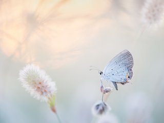 Сибирские ученые и индийская моль. Источник: Ray Hennessy / Фотобанк Unsplash 