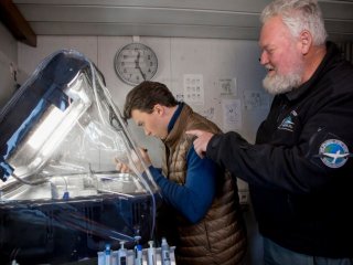 Исследование образцов донных отложений и тканей беспозвоночных, собранных в экспедиции. Фото: Александр Лехнович / предоставлено пресс-службой МФТИ