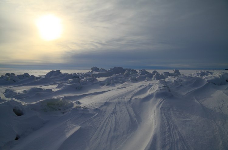 Фото: pelson / ru.123rf.com