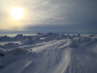 Фото: pelson / ru.123rf.com