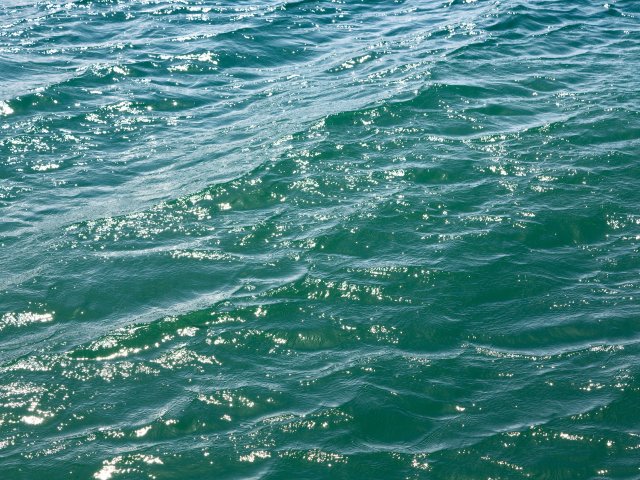 Источник фото: ru.123rf.com