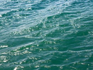 Источник фото: ru.123rf.com