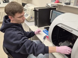 Новый метод оценки эффективности онкотерапии разработали ученые из ИМКБ СО РАН и НГУ. Фото: Сергей Кулемзин, Татьяна Беловежец / НГУ 