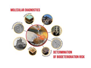 Источник: ФИЦ Биотехнологии РАН