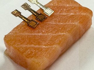 Новый датчик за две минуты определял, насколько свежим был кусок рыбы. Фото: аdapted from ACS Sensors 2025, DOI: 10.1021/acssensors.5c01637