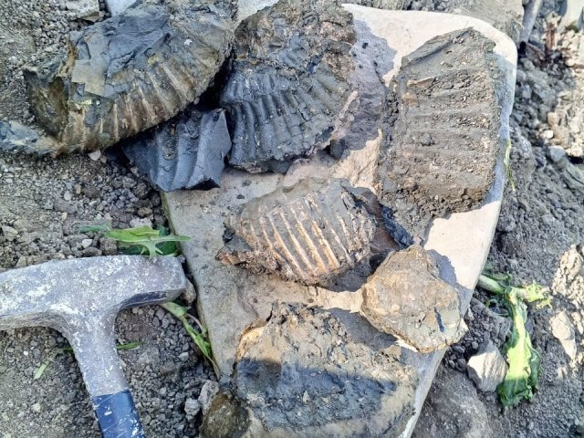 Фото пресс-службы Самарского политеха