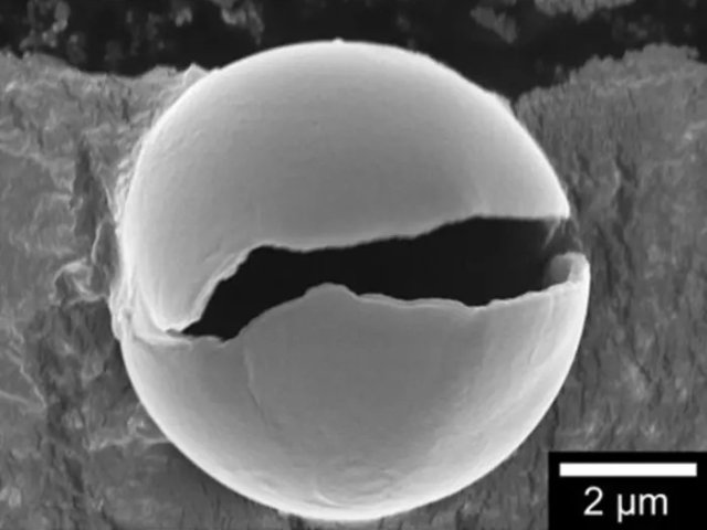 После облучения светом мономеры природного происхождения превращаются в полимерные капсулы. Фото: Osaka Metropolitan University / Yukiya Kitayama
