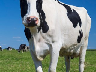 Изображение: Фотобанк Freepik