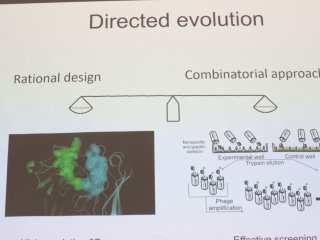 Первая междисциплинарная научная конференция ChemNet. Фото: Ольга Мерзлякова / «Научная Россия»