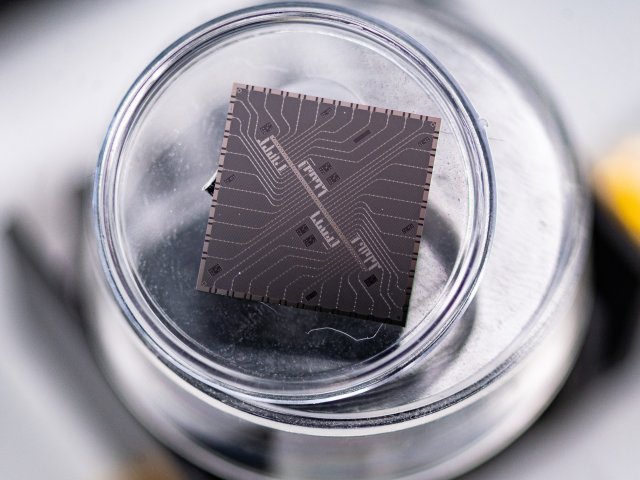 Универсальный масштабируемый 16-кубитный сверхпроводниковый квантовый процессор на основе кубитов-флаксониумов. Фото пресс-служба Университета МИСИС (Сергей Гнусков)