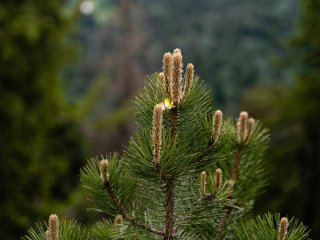 Изображение: Фотобанк Freepik