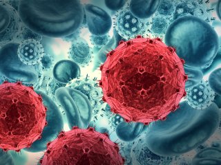 Источник фото: ru.123rf.com