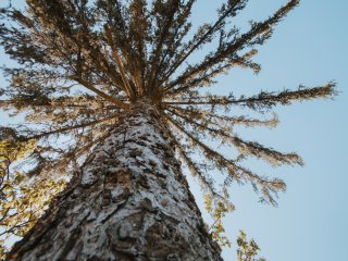 Изображение: Фотобанк Freepik