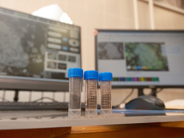 Порошки адсорбента. Фото Анастасии Тамаровской / ФИЦ КНЦ СО РАН